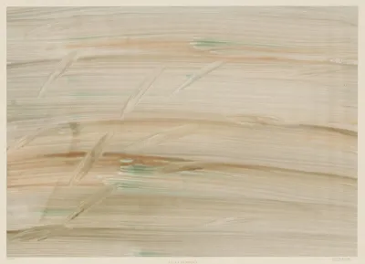 Geadertes Kleisterpapier 6