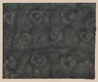 Geadertes Kleisterpapier Bluten