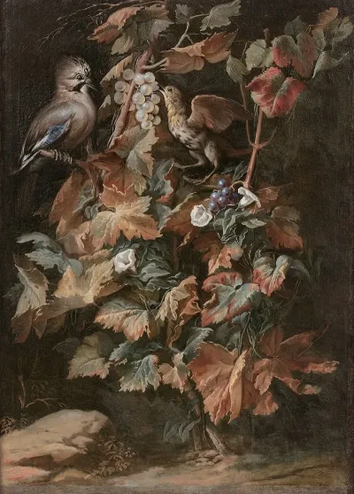 Geai Et Etourneau Sur Un Pied De Vigne Entoure De Liseron