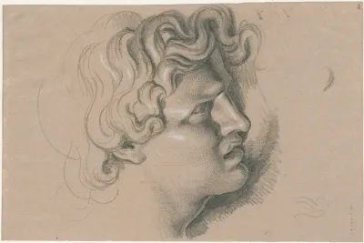 Gebeeldhouwde Mannenkop