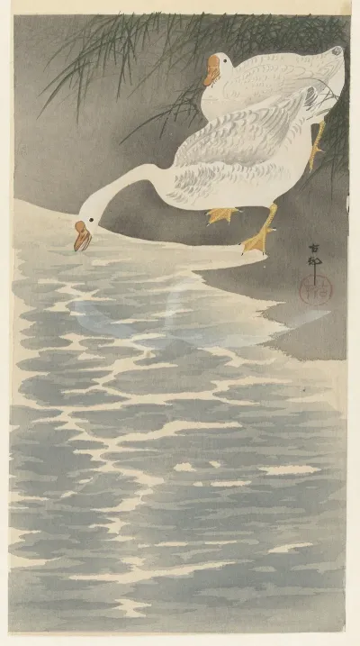 Geese On The Bank