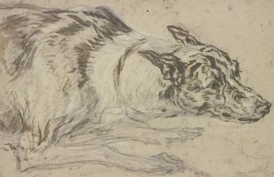 Gefleckter Hundekopf Mit Vorderpfoten