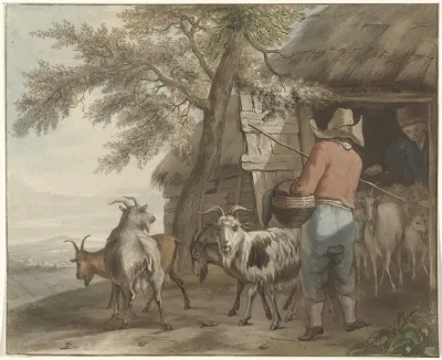 Geitenhoeder Bij Schuur