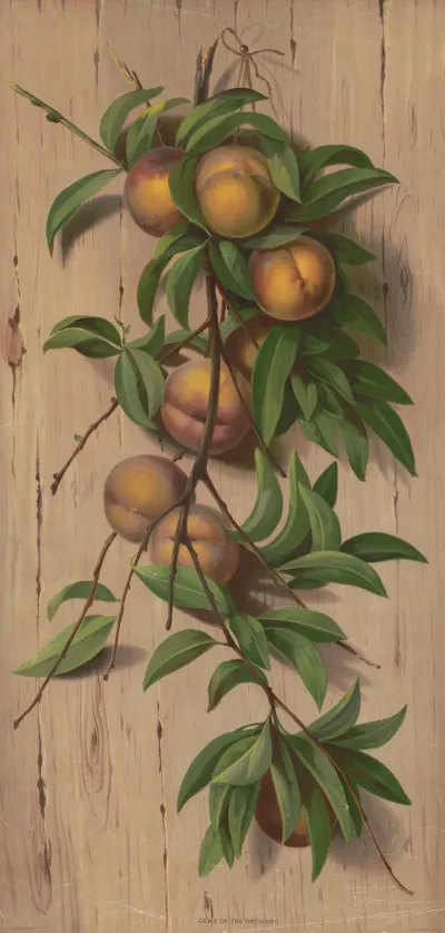 Gems Of The Orchard