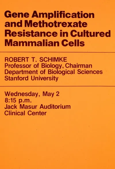 Gene Amplification And Methotrexate Resistance In Cultured Mammalian Cells