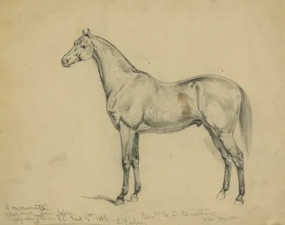 General U S Grants War Horse