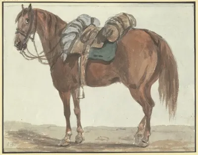Gesattelter Brauner Nach Links