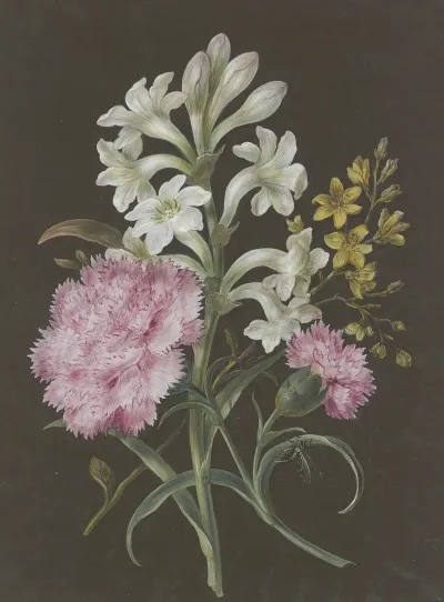 Gesteck Aus Tuberose Polyanthes Rosa Nelke Dianthus Und Gelber Blume Mit Fliege