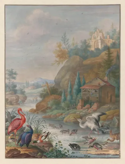 Gevogelte Bij Een Bergstroom
