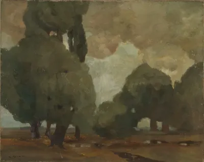Gewitter Im Moor Bei Dachau
