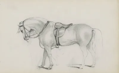 Gezadeld Paard
