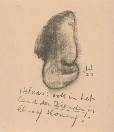 Gezicht Met Een Oog