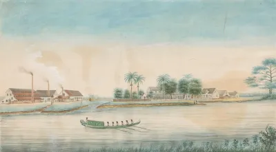Gezicht Op De Suikerplantage Catharina Sophia Vanaf Het Water