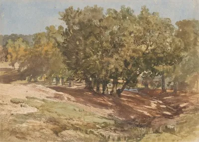 Gezicht Te Beekhuizen Op De Zijpenberg
