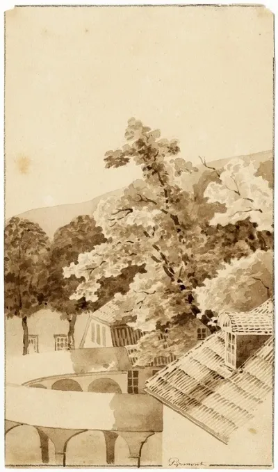 Gezicht Te Pyrmont