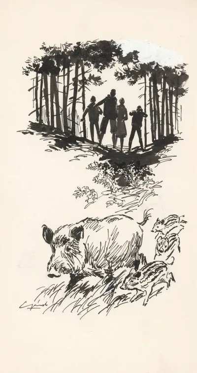 Gezin Spot Een Wild Zwijn Met Biggen 2