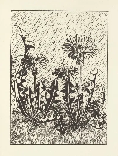 Gladiola Garden Poems Of Outdoors And Indoors For Second Grade Readers Pl 21
