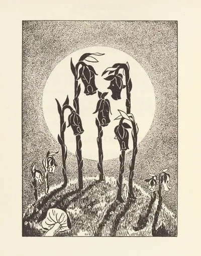 Gladiola Garden Poems Of Outdoors And Indoors For Second Grade Readers Pl 26