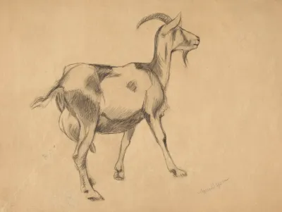 Goat 6