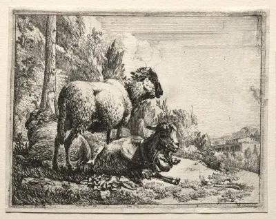 Goat With Bell