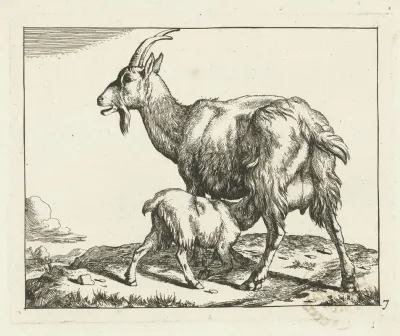 Goat With Drinking Lamb