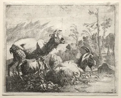 Goats 9