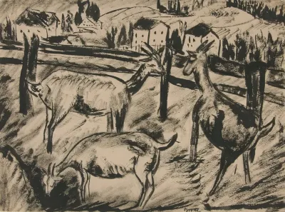 Goats And Landscape
