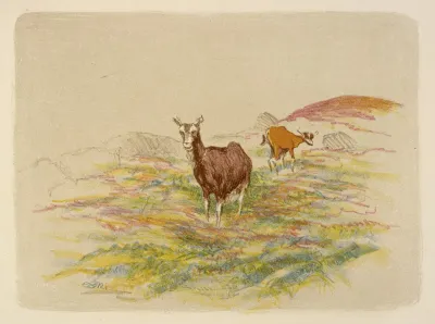 Goats In A Field