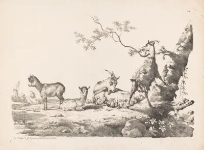 Goats With Young In A Landscape Near A Tree