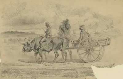 Going To The Commissarys
