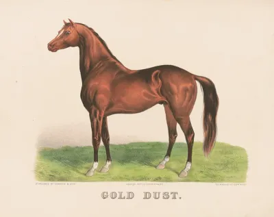 Gold Dust 2