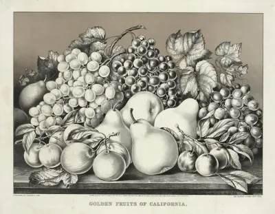 Golden Fruits Of California