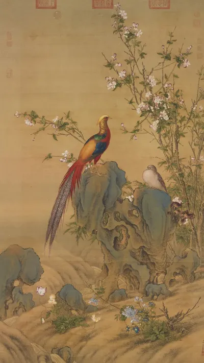 Golden Pheasants In Spring