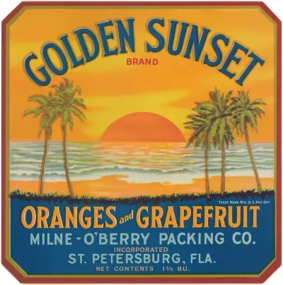 Golden Sunset Brand Oranges And Grapefruit Label