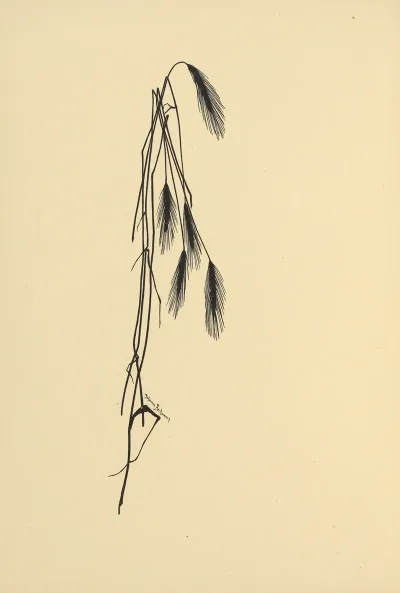 Goldene Ernte Pl 08