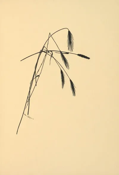 Goldene Ernte Pl 09