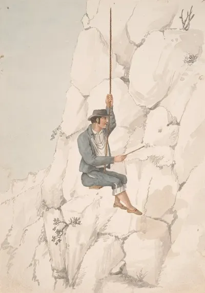 Gomero Orchilla Gatherer
