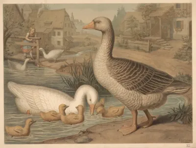 Goose 4