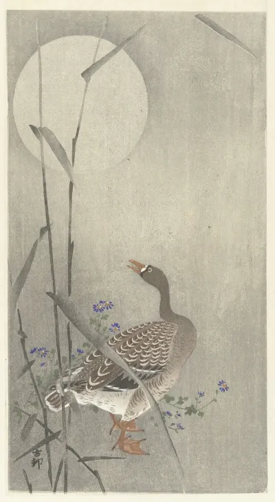 Goose At Full Moon 2