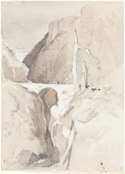 Gorge With Tree Stumps