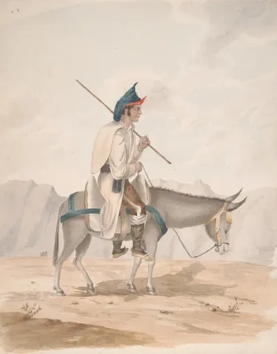Grand Canary Man On A Donkey