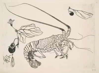 Grand Langouste Aux Antennes Relevees