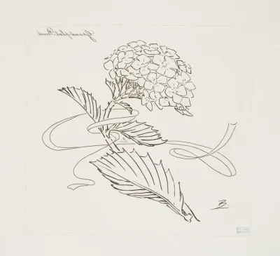 Grand Plat Rond Hortensia