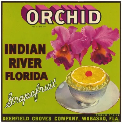 Grapefruit Label For Orchid