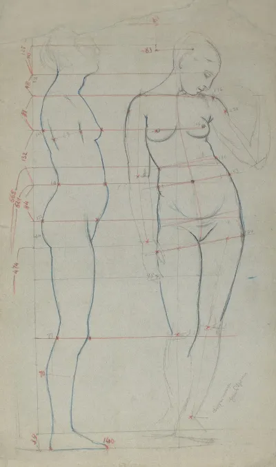 Graph Of Female Nude Proportions As Seen From The Profile And En Face
