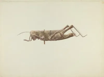 Grasshopper Weather Vane 2