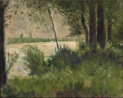 Grassy Riverbank