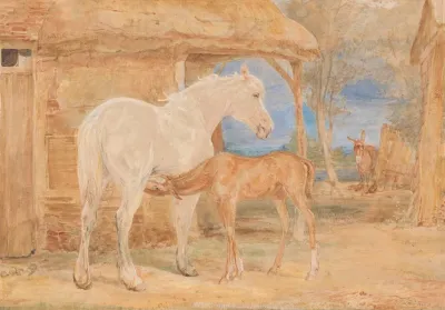 Gray Mare And A Chestnut Foal