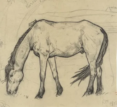 Grazend Paard Te Noordwijk