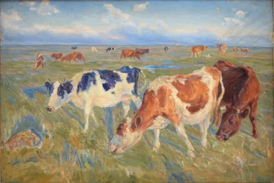 Grazing Cows On The Island Of Saltholm